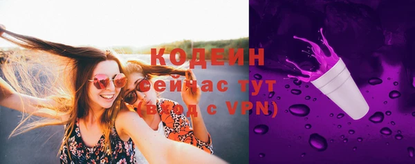 apvp Переславль-Залесский
