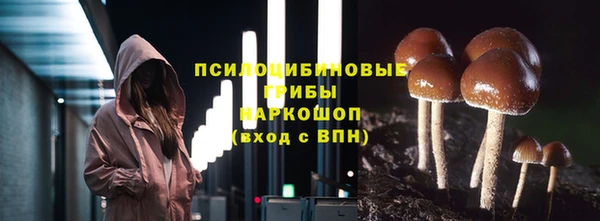 мяу мяу мука Покровск