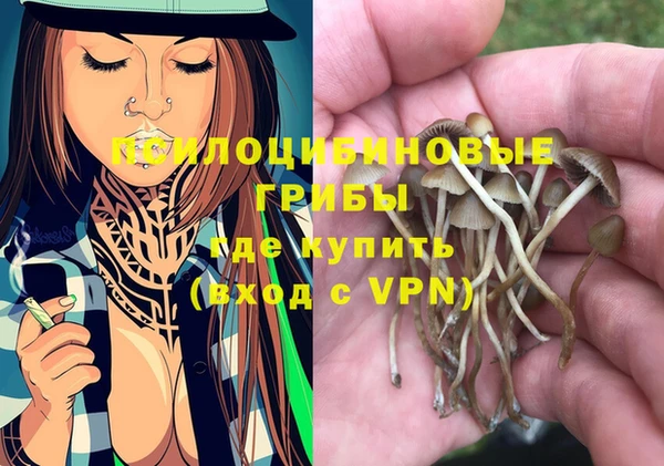 мяу мяу мука Покровск