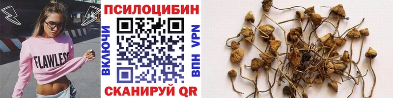 Галлюциногенные грибы Magic Shrooms  цены   Пудож 