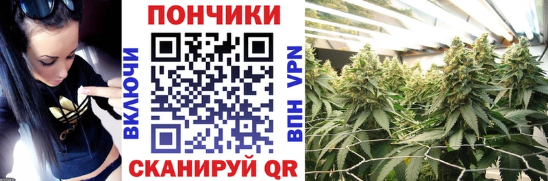 купить наркотики цена  Пудож  Шишки марихуана марихуана 